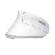 7. TRUST Verto Wireless Vertical Ergonomic Mouse, White