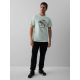 4. Men's regular printed T-shirt 4F 4FKAW26TTSHM4474-47S
