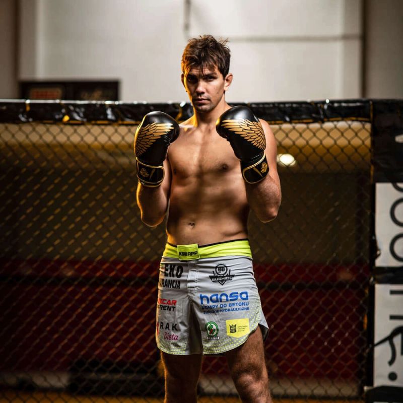 5. 8oz Boxing Gloves - Hawk - Origin Series