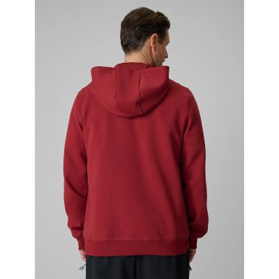 2. Men's regular hooded sweatshirt 4F 4FRSS26TSWSM2975-20S