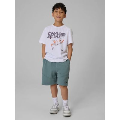 5. Boys' Regular-Fit Graphic T-Shirt 4F 4FJRAW26TTSHM4629-10S