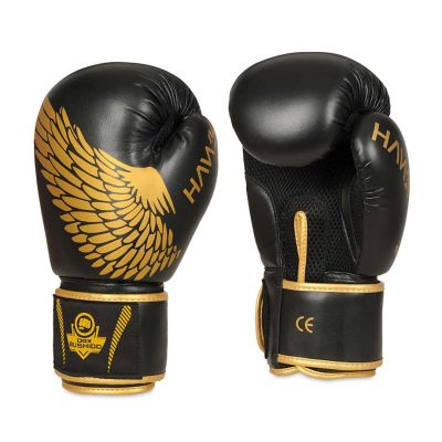 43. 8oz Boxing Gloves - Hawk - Origin Series
