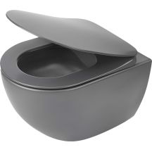 Wall-hung rimless toilet bowl