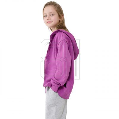 6. Sweatshirt 4F F1853 Jr 4FJWSS25TSWSF1853 50S