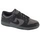 Nike Dunk Low Retro W HF1986-001