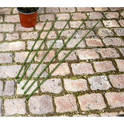 10. KINZO PLANT SUPPORT POLE 6 PCS 50-80 CM