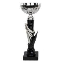 1992 Triumph Cup