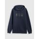 7. Men's regular hooded sweatshirt 4F 4FRSS26TSWSM2801-31S