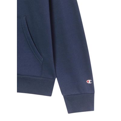 8. Champion Men's Hoodie 221810.BS501