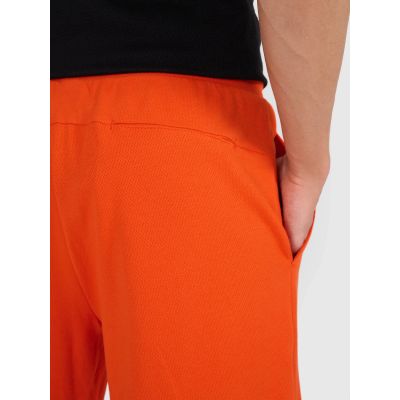 4. Men's sweatpants 4F 4FRSS25TSHOM686-70S