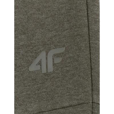 7. Men's jogger sweatpants 4F 4FRAW25TTROM1691-43M