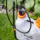 7. ADLER AD 6810 16L backpack pressure sprayer