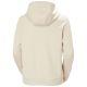 2. Helly Hansen Core Graphic Hoodie W 54239 034
