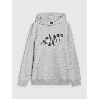 5. Men's sweatshirt with hood, open, 4F 4FWMM00TSWSM1766-27M