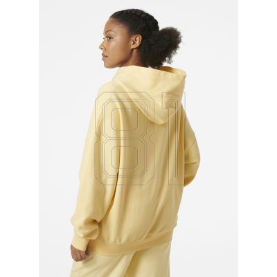 17. Helly Hansen Allure Hoodie W 53981 369