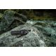 9. Ansmann TS1000RF Black LED Handheld Flashlight