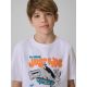 3. Boy's cotton T-shirt 4F 4FJRSS26TTSHM4171-10S