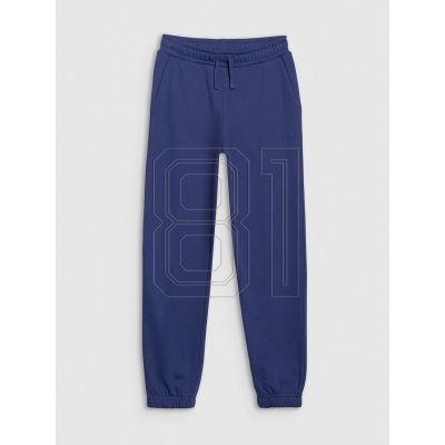 Trousers 4F M1186 Jr 4FJWSS25TTROM1186-36S