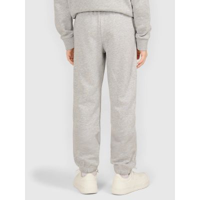 2. Boys' jogger sweatpants 4F 4FJWMM00TTROM1827-27M