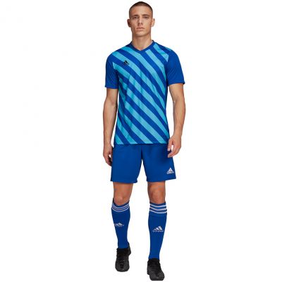 4. adidas Entrada 22 Graphic Jersey M HF0116
