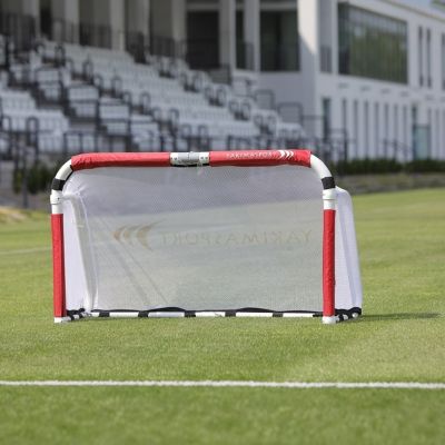 11. Yakima Sport Academy Goal 100690