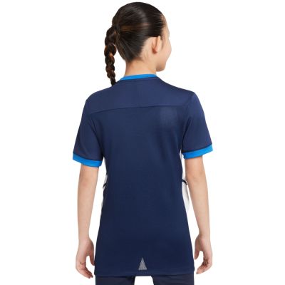 8. Nike Dri-Fit Academy 25 SS Jr FZ9758 410 Jersey