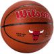 2. Ball Wilson Team Alliance Chicago Bulls Ball WTB3100XBCHI