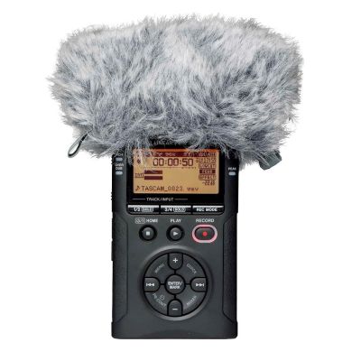 3. Tascam WS-11 - Windshield for Portable Audio Recorders