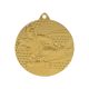 10. Gold medal - karate - steel medal