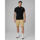 3. Men's regular polo shirt 4F 4FRSS26TPTSM0900-20S