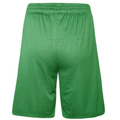 3. Colo Spring 02 Basketball Shorts