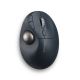 Kensington Trackball Pro Fit Ergo TB550