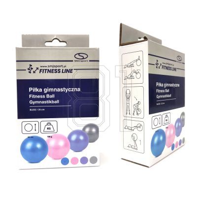 2. Pilates rubber gym ball PVC BL032 25 cm HS-TNK-000009387