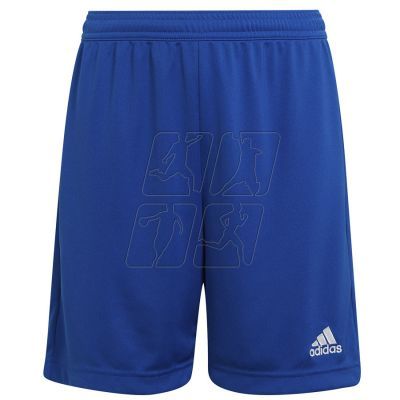 4. Adidas Entrada 22 Short Y Jr HG6291