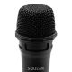 SQUEAK KARAOKE VOCALDUO MICROPHONE SET 2.4G SQ1007