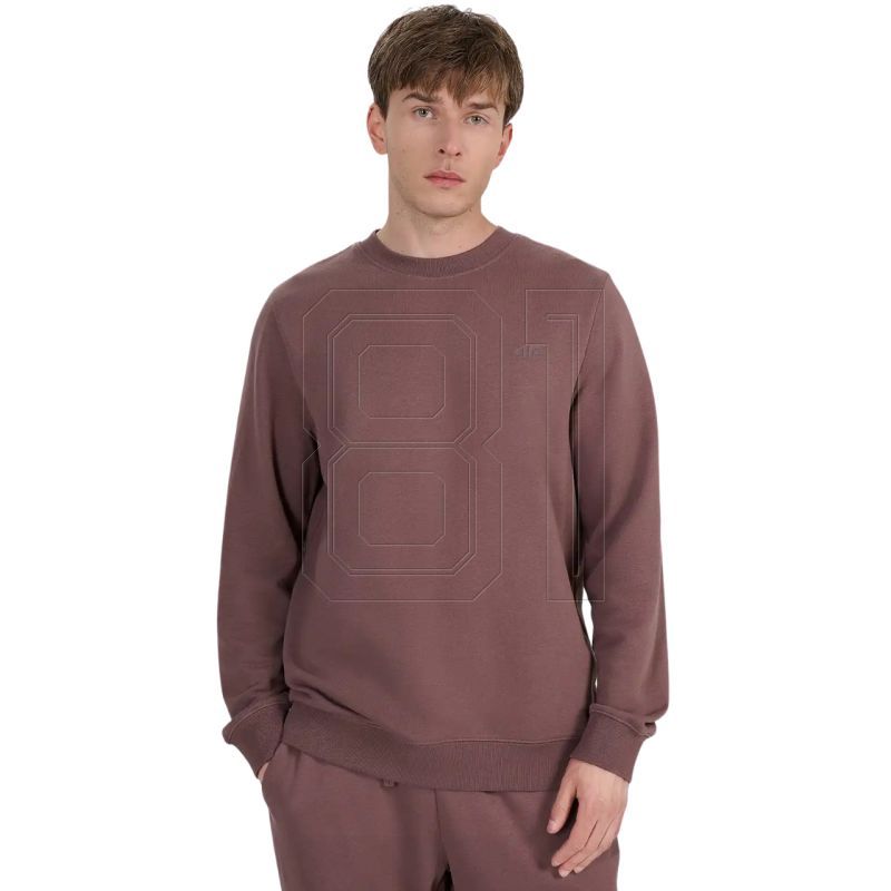 2. 4F M 4FWAW25TSWSM1981 81S sweatshirt