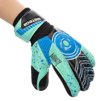 2. Meteor Defense 6 17360 Goalkeeper Gloves