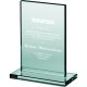 8. Engraved glass trophy