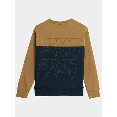 2. 4F Jr sweatshirt 4FJAW23TSWSM630-74S