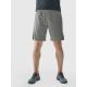 Men's 4F quick-drying regular training shorts 4FWAW24TFSHM697-25M