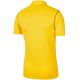 6. Nike Dry Park 20 Polo Youth Jr BV6903 719