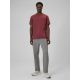 3. Men's regular plain T-shirt 4F 4FRSS26TTSHM3637-60S