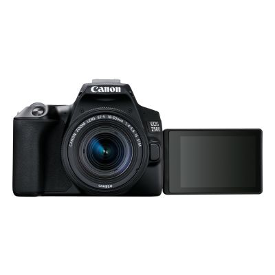 4. Canon EOS 250D camera (3454C002)