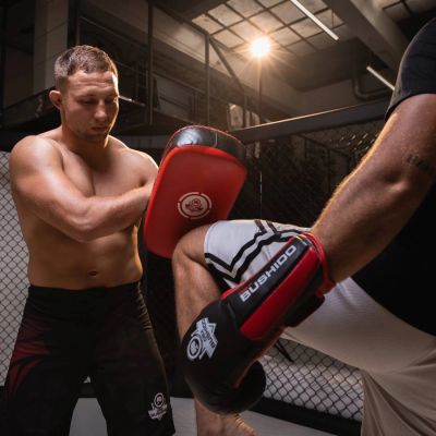 14. PAO training shield made of natural leather