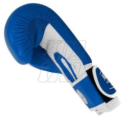 3. Leather boxing gloves MASTERS RBT-TRW 01210-02