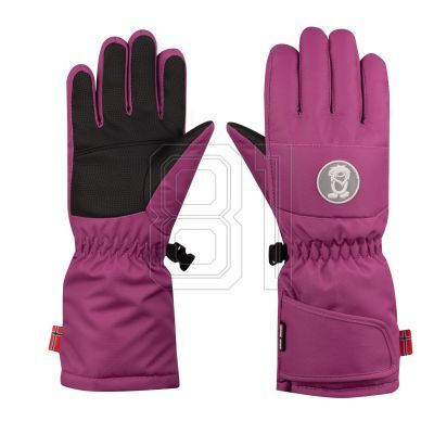 Trollkids Kids Narvik Glove Jr 932-243 Winter Gloves