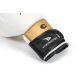 2. Boxing gloves Yakmaspor lion 14 oz 10034214OZ