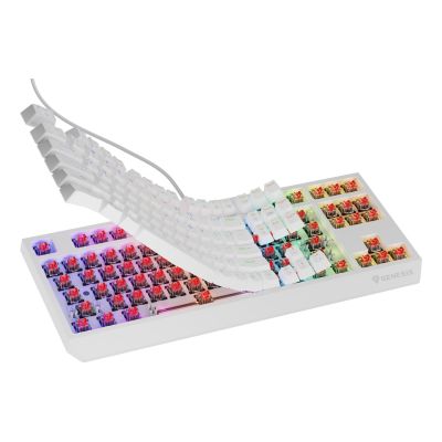 5. GENESIS Thor 230 TKL Gaming Keyboard USB QWERTY US English White