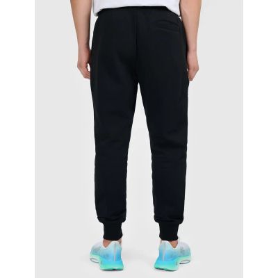 2. Men's jogger sweatpants 4F 4FWMM00TTROM1860-20S