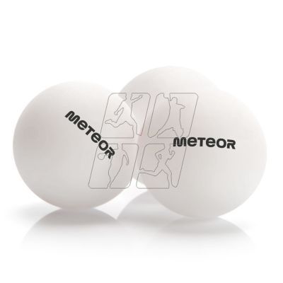 7. Meteor 15029 table tennis set